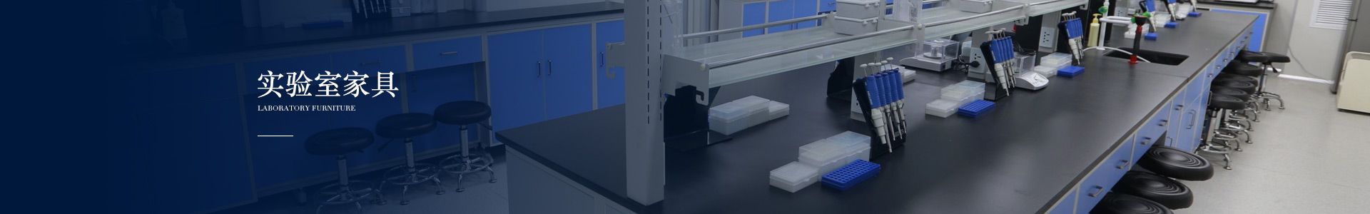 日皮视频在线观看建設裝修